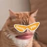 Elo's Kat